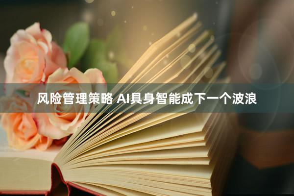 风险管理策略 AI具身智能成下一个波浪