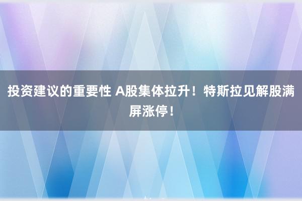 投资建议的重要性 A股集体拉升！特斯拉见解股满屏涨停！