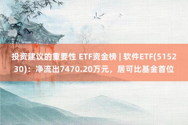 投资建议的重要性 ETF资金榜 | 软件ETF(515230)：净流出7470.20万元，居可比基金首位