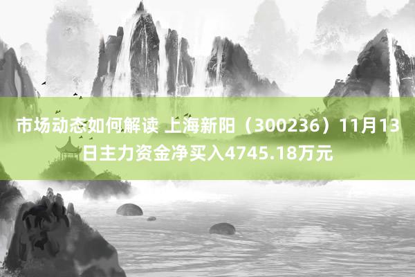 市场动态如何解读 上海新阳（300236）11月13日主力资金净买入4745.18万元