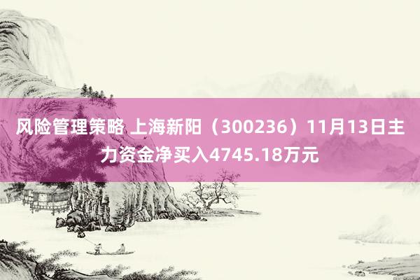 风险管理策略 上海新阳（300236）11月13日主力资金净买入4745.18万元