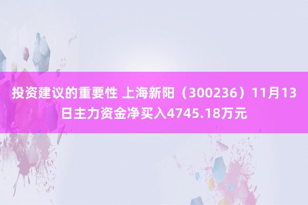 投资建议的重要性 上海新阳（300236）11月13日主力资金净买入4745.18万元