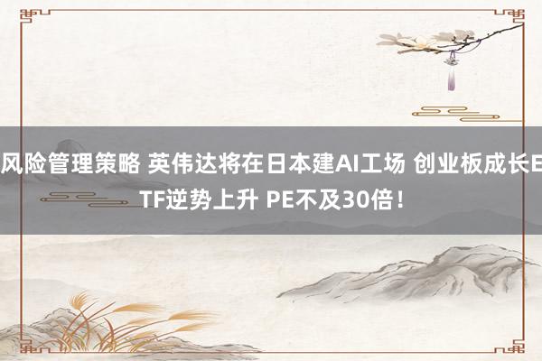 风险管理策略 英伟达将在日本建AI工场 创业板成长ETF逆势上升 PE不及30倍！