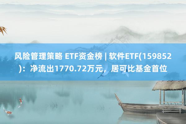 风险管理策略 ETF资金榜 | 软件ETF(159852)：净流出1770.72万元，居可比基金首位