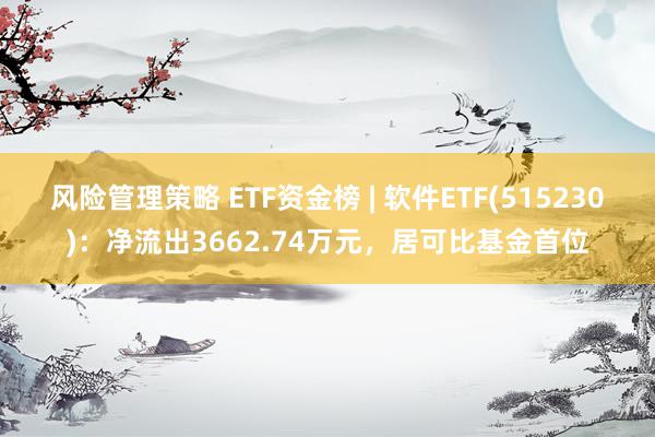 风险管理策略 ETF资金榜 | 软件ETF(515230)：净流出3662.74万元，居可比基金首位