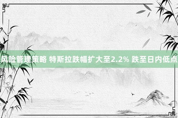 风险管理策略 特斯拉跌幅扩大至2.2% 跌至日内低点