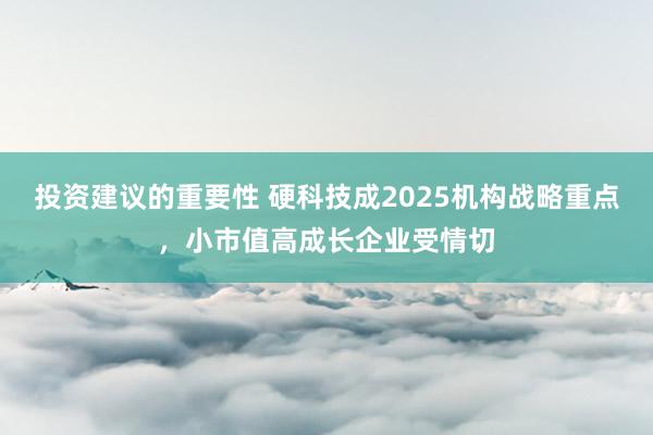 投资建议的重要性 硬科技成2025机构战略重点，小市值高成长企业受情切