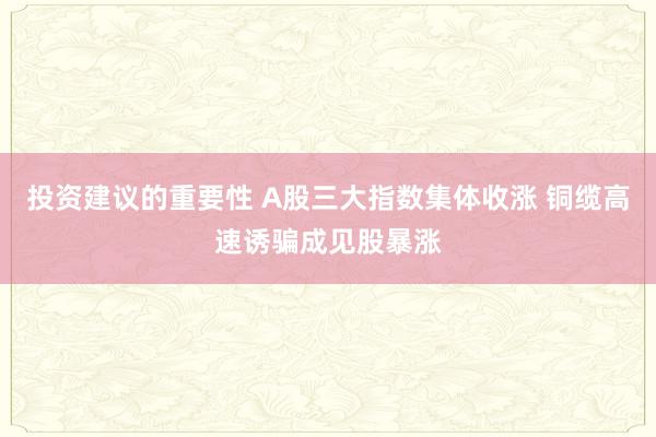 投资建议的重要性 A股三大指数集体收涨 铜缆高速诱骗成见股暴涨