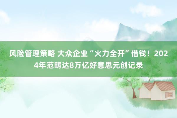 风险管理策略 大众企业“火力全开”借钱！2024年范畴达8万亿好意思元创记录