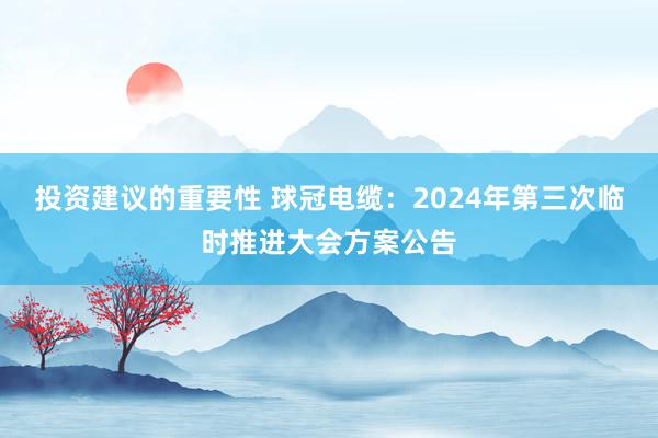 投资建议的重要性 球冠电缆：2024年第三次临时推进大会方案公告