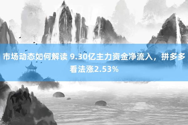 市场动态如何解读 9.30亿主力资金净流入，拼多多看法涨2.53%