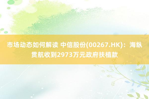 市场动态如何解读 中信股份(00267.HK)：海纵贯航收到2973万元政府扶植款