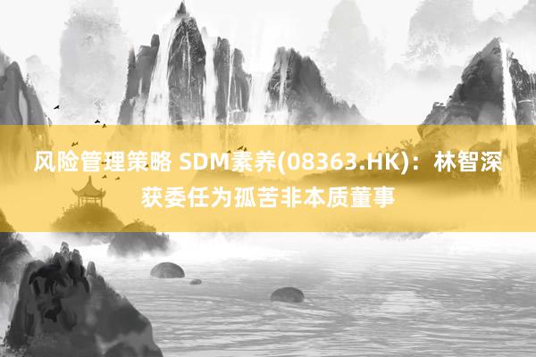 风险管理策略 SDM素养(08363.HK)：林智深获委任为孤苦非本质董事