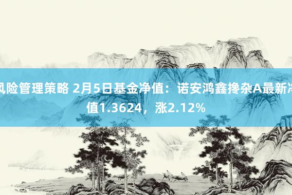 风险管理策略 2月5日基金净值：诺安鸿鑫搀杂A最新净值1.3624，涨2.12%