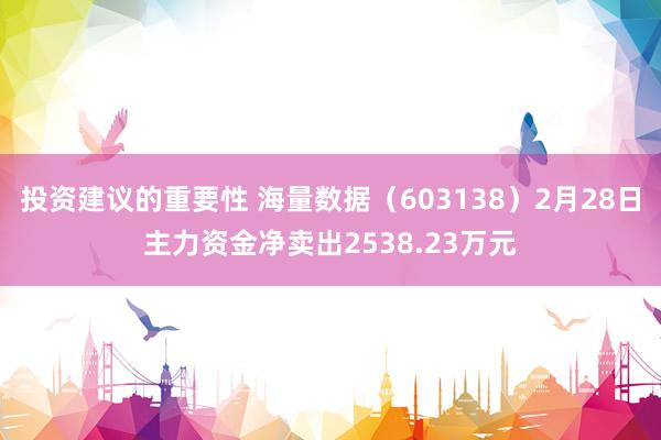 投资建议的重要性 海量数据（603138）2月28日主力资金净卖出2538.23万元