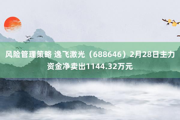 风险管理策略 逸飞激光（688646）2月28日主力资金净卖出1144.32万元