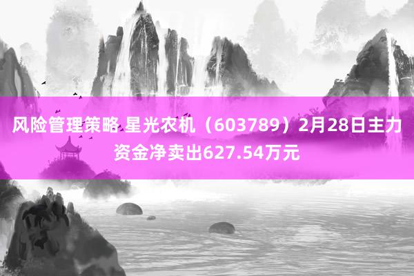 风险管理策略 星光农机（603789）2月28日主力资金净卖出627.54万元