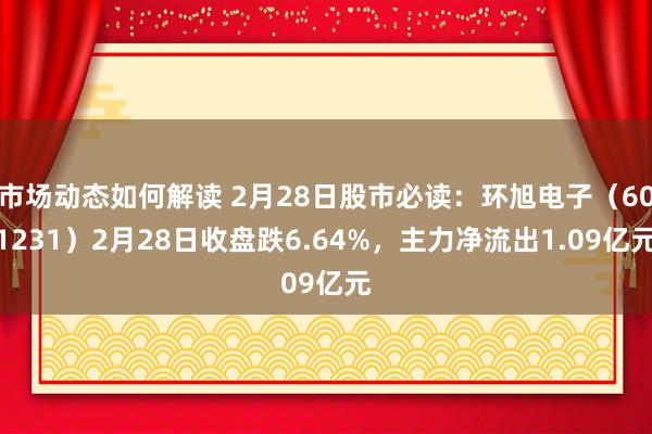 市场动态如何解读 2月28日股市必读：环旭电子（601231）2月28日收盘跌6.64%，主力净流出1.09亿元