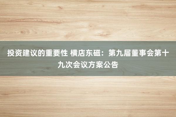 投资建议的重要性 横店东磁：第九届董事会第十九次会议方案公告