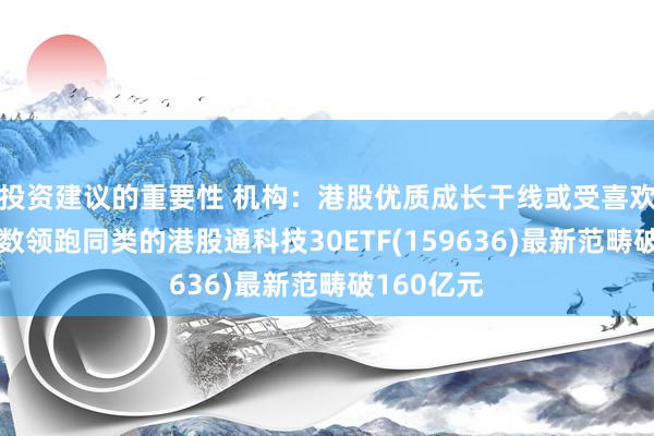 投资建议的重要性 机构：港股优质成长干线或受喜欢！追踪指数领跑同类的港股通科技30ETF(159636)最新范畴破160亿元